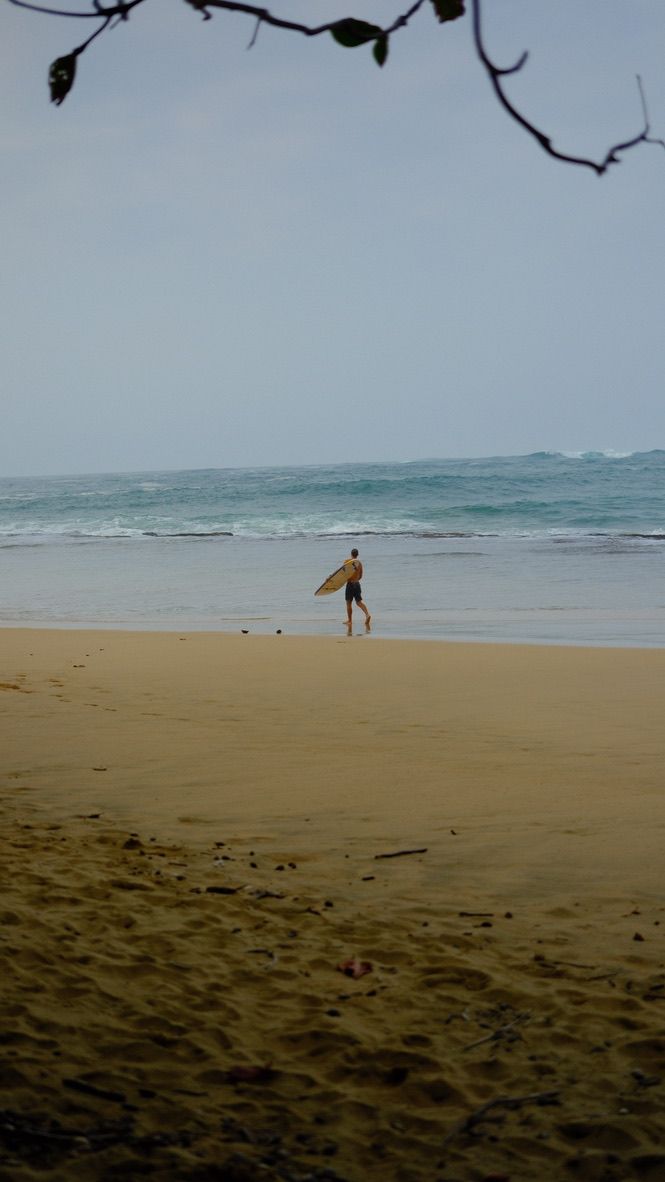 Photograph taken 2024-12-26