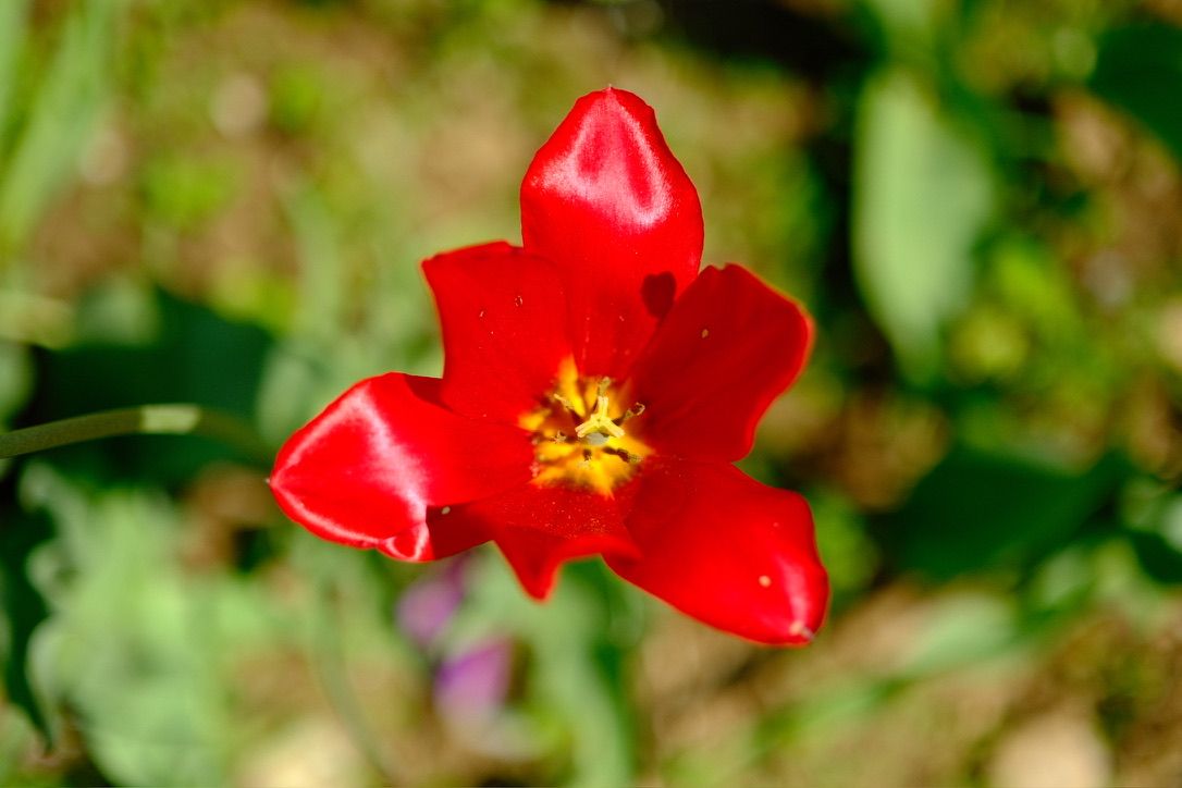 Photograph taken 2025-05-12