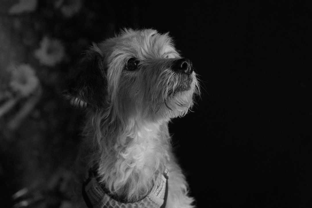 Photograph taken 2026-01-14